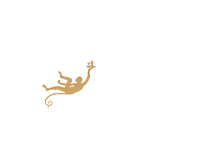 The Midnight Monkey